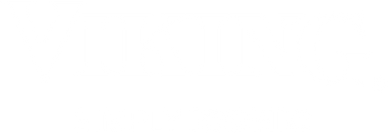 White logo with the word VIKING in large, bold serif letters above the tagline SIMPLY ICONIC in smaller capitals, with ICONIC in bold, all on a light gray background.